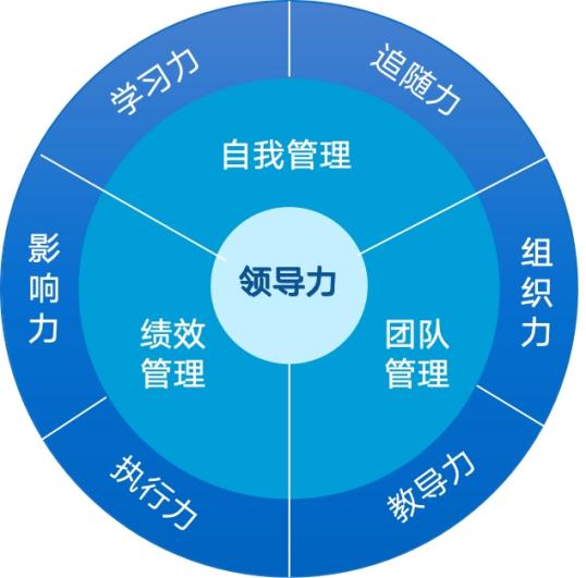领导力模型示例图